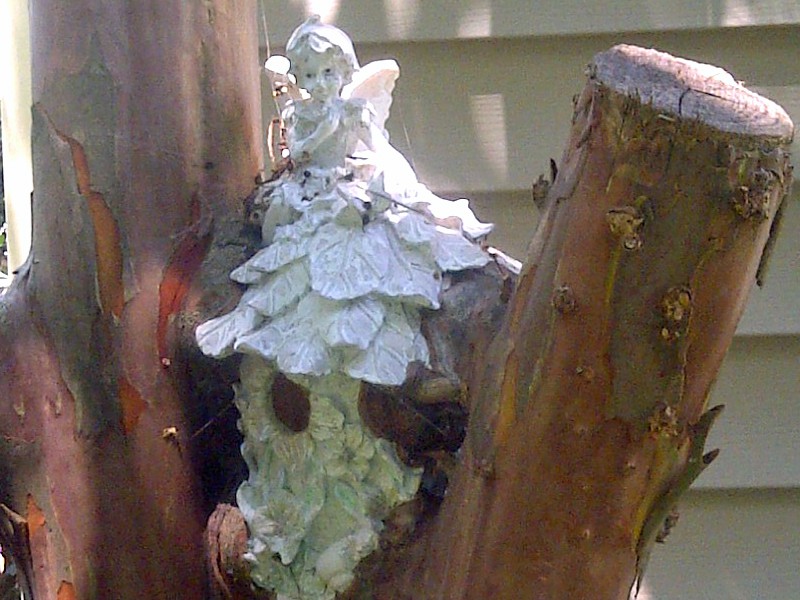 Angel Bird House Captured by Crepe Myrtle