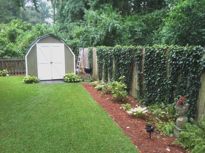 The Shed Where it All Began