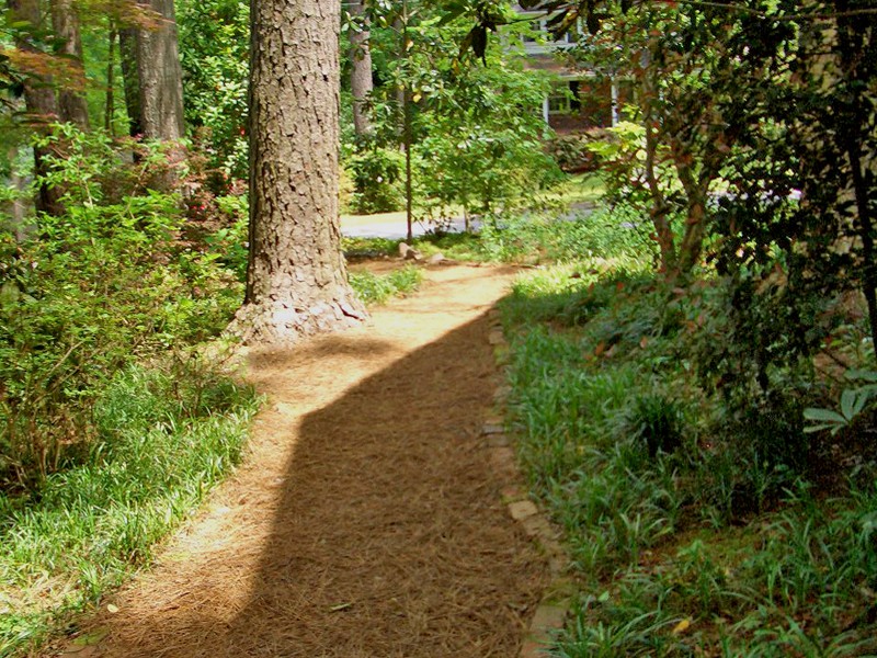 Pine Straw Walkway - A Simple Touch - We Pulled All the Growth and Layed the Straw