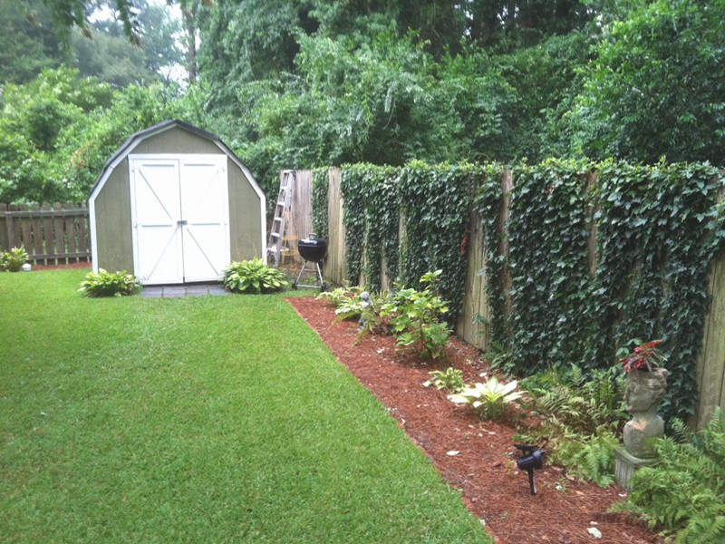 Sodded a Year Prior, Installed Brick Bed Border and Cut Back Ivy for a More Natural Look