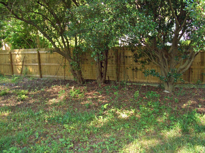The Back Fence Before
