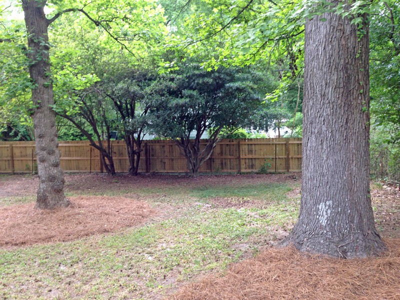 The Back Fence After